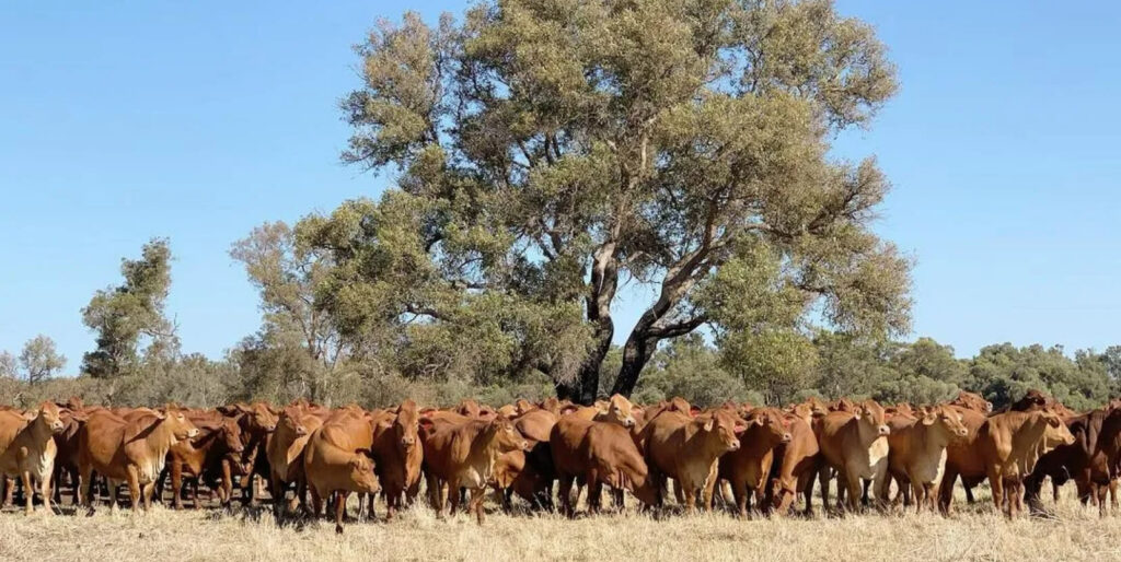 Hero Home Gallery Item 1