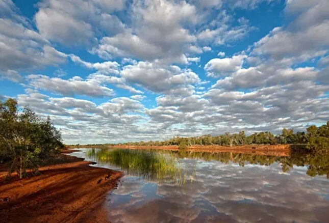 The Station Section Bg