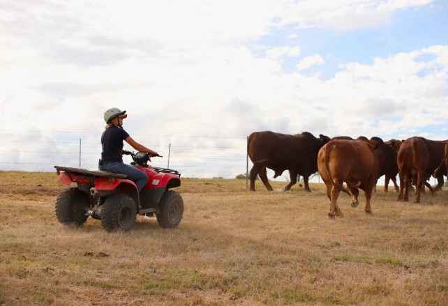 The Team Intro Hero V2